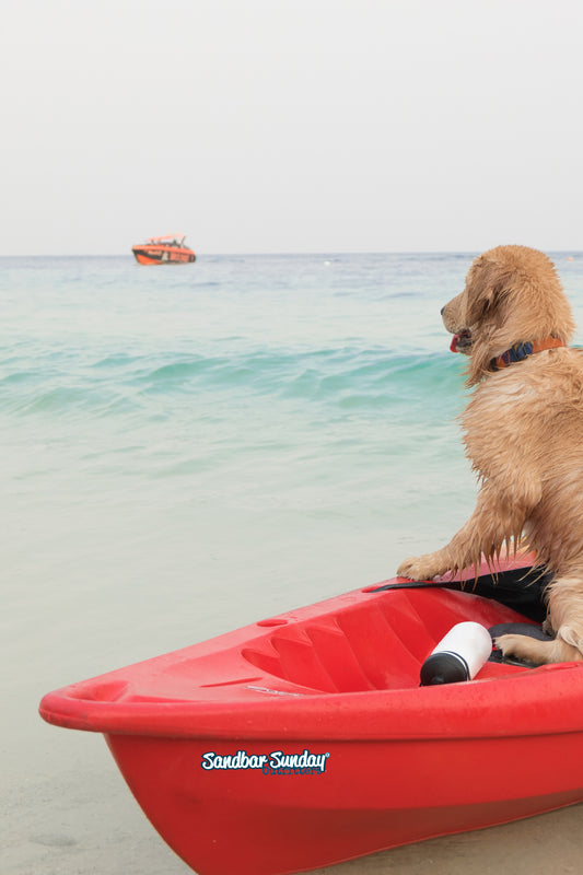 Sandbar Sunday Outfitters Kiss-Cut Vinyl Decal