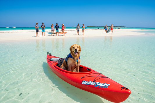 Sandbar Sunday Outfitters logo with blue and white text on a white background